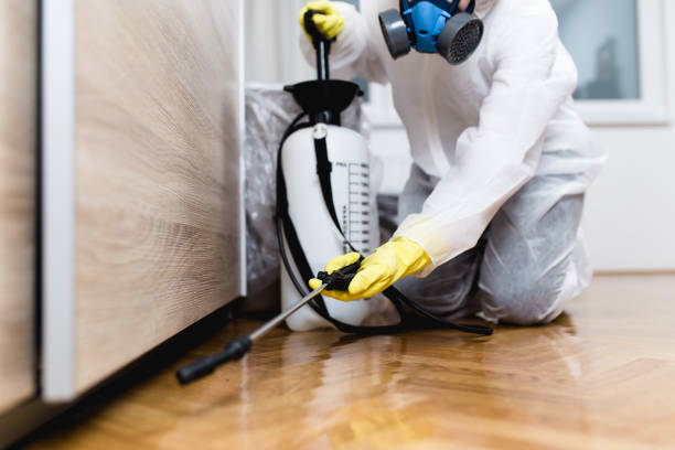 Best Best Pest Control Companies  in Wahese, NC