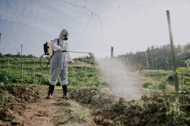 Best Commercial Pest Control Services  in Wahese, NC