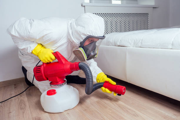 Best Mosquito Control Services  in Wahese, NC