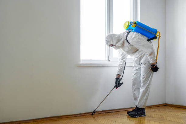 Pest Control for Restaurants in Wanchese, NC