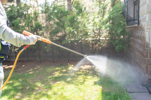 Best Flea Control Services  in Wahese, NC