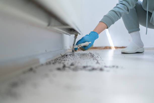Best Wildlife Control Services  in Wahese, NC