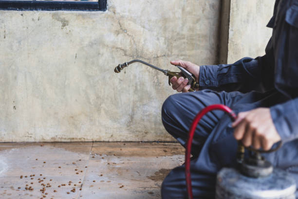 Best Pest Control Near Me  in Wahese, NC